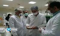 بازدید و بررسی میدانی در جهت حل مسائل تولید  شرکت های تولیدکننده تجهیزات و مواد ضدعفونی مقابله با کرونا 