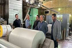 بازدید از صنایع سلولزی شهرک‌های صنعتی گرمسار و ایوانکی