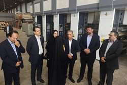نقش تسهیلات بانکی در تقویت اشتغالزایی واحدهای تولیدی سمنان