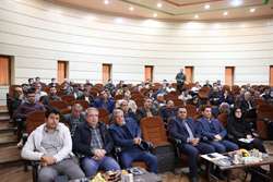 نیروگاه خورشیدی در سه شهرک صنعتی سمنان ساخته می‌شود