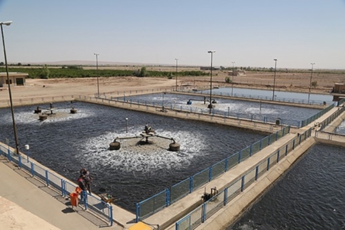 «طلای خاکستری» در خدمت توسعه صنایع سمنان